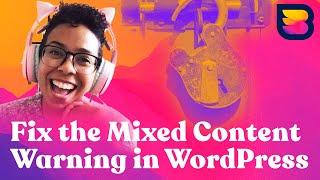How to Fix the Mixed Content Warning in WordPress