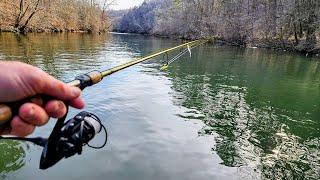 Fishing a HIDDEN BACKWATER Creek!! (Catch and Cook and New Species)