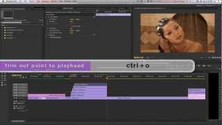 Music Video Effects Vol. 4 Part 1 Premiere Pro CS6 by NLE_Ninja