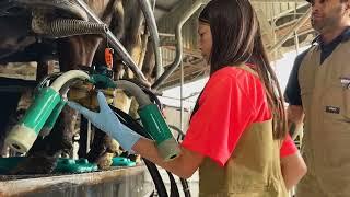 FarmSafe Week  Children on farms