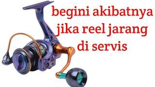 bongkar reel seahawk lite pro ltd 800. setelah beberapa bulan pemakaian