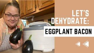 Preserving The Harvest: Dehydrating Eggplant