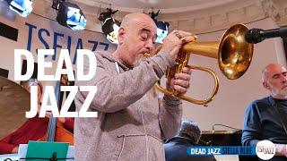 Dead Jazz "Stella Blue" en session TSFJAZZ!