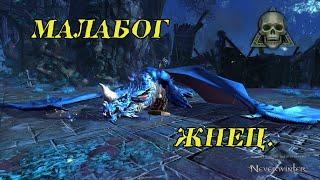 Малабог - Жнец в Neverwinter Online