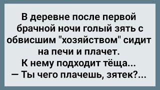 Зять с Обвисшим "Хозяйством" После Первой Брачной Ночи! Сборник Свежих Анекдотов! Юмор!