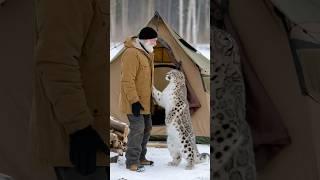 The smart snow leopard called the old man to rescue the cubs caught in the net