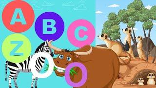 ABC ZOO Fun\Educational|Alphabet Animals-part 6:Xerus,Yak & Zebra.#kidslearning #animals #animation