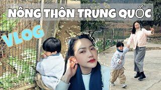 Cuộc sống ở nông thôn Trung Quốc không khác gì nông thôn Việt Nam| Đi xe trống mà về thì đầy ấp đồ