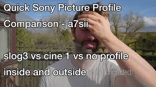 Quick Sony a7sii Picture Profile Comparison