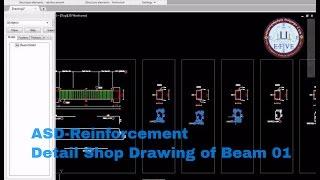 ASD-Reinforcement Detail Shop Drawing of Beam-01