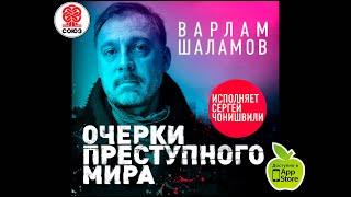 Очерки преступного мира. Шаламов В. Аудиокнига. читает Сергей Чонишвили