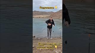 Огромные воблы на реке Или ))) ПОДПИШИСЬ! #рыбалка #fishing #fish #рыба #вобла #густера #нареке