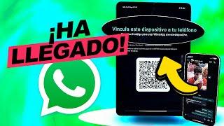 WhatsApp da el PASO con su NUEVA FUNCIÓN!!!