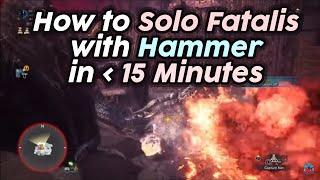 Fatalis Hammer Solo Matchup Guide - Openings/Punishes, Build (focus 3?), etc | MHW Iceborne