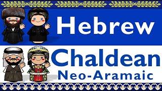 SEMITIC: HEBREW & CHALDEAN NEO ARAMAIC