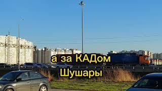 ЖК ЦДС Московский. Как дом на острове - ни зайти, ни выйти