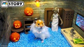  Hamster Escapes the Granny Maze on Halloween  Homura Ham Pets