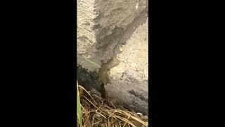 G-SOLUTIONS FISSURES INC   L INJECTION