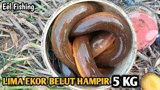 ASLI PUAS MANCING BELUT KALAU HASILNYA SEPERTI INI