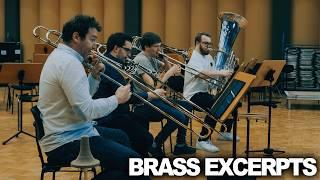 Wie klingen Blechbläser im Orchester? Brass Excerpts: Bruckner 8, Tchaikovsky 6 und noch mehr...