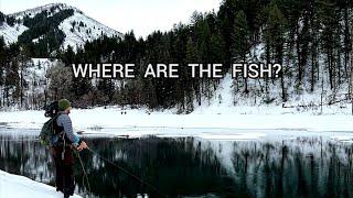 Winter Fishing in Utah was Almost a DISASTER!