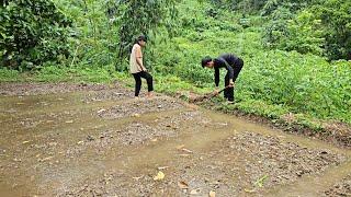 Harvest fish to sell, take care of flooded vegetable gardens - Homeless Boy