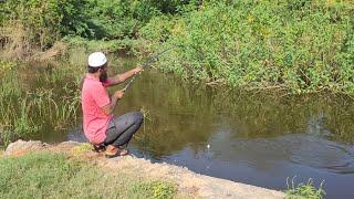 MASTERING SINGLE HOOK FLOAT FISHING TECHNIQUES IN TILAPIAFISHES FISHING" BACK TO BACK FISHES FISHING