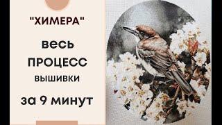 ВЫШИВКА | "Butcherbird and Nashi" | ХИМЕРА | ВЕСЬ ПРОЦЕСС ЗА 9 МИНУТ