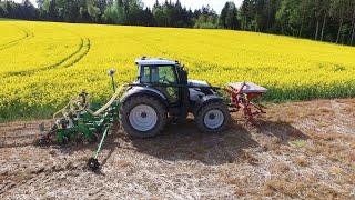 Strip-Till Maissaat ( Schweiz )