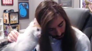 Charlie and cat wholesome moment | MoistCr1TiKaL