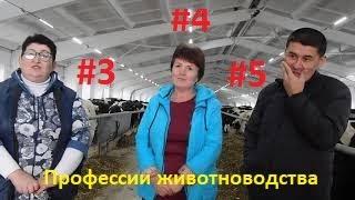 Профессия главный зоотехник, ветврач, завфермой