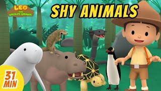 Shy Animals Videos Compilation | Leo the Wildlife Ranger | Fun Animal Show! | Kids Cartoons