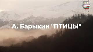 А. Барыкин "ПТИЦЫ" (караоке)