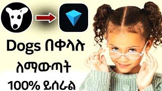 በ tonkeeper Dogs withdraw አረኩት | dogs airdrop in Amharic today | dogs airdrop in Ethiopia 2024