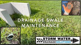 Drainage Swale Maintenance - Tampa Yard Drainage - Downspout Drain - Storm Water Drainage Solutions