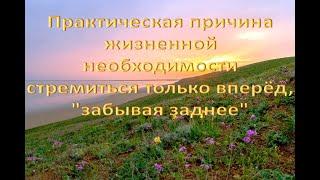 Практическая причина жизненной необходимости стремиться только вперёд, ''забывая заднее''