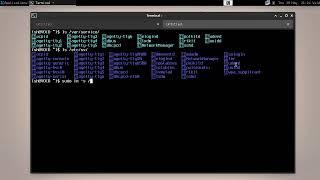 [ 2 ] How to Start the Tor Service on Void Linux