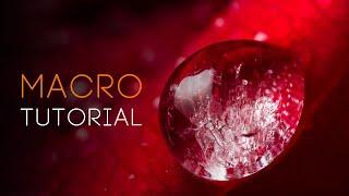 MACRO photography tutorial: everything you need to know!