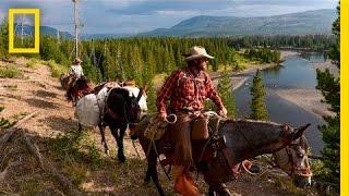 With Horses' Help, Army Veteran Finds Healing in Yellowstone | National Geographic