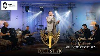 Djole Stevic  & orkestar Ace Cergara - Ne ljubi me bez ljubavi (Cover 2023)