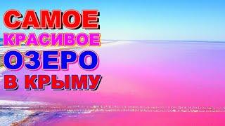 РОЗОВОЕ ОЗЕРО САСЫК И КРЫМСКИЕ ПОДСОЛНУХИ С ВЫСОТЫ 2020