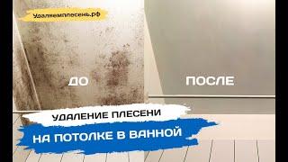 Удаление плесени на потолке в ванной