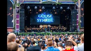 Symphony of Unity | Tomorrowland Belgium 2019 - W2