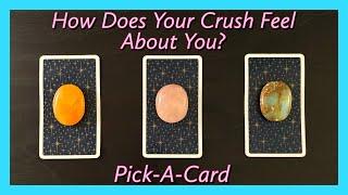 Does Your Crush Like You?  What Do They Find Most Attractive About You??️Pick-A-Card️