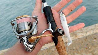 Summer lure Sessions - Seabass Fishing