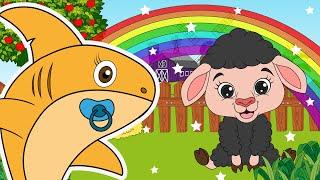 Baa Baa Black Sheep + Baby Shark Nursery Rhymes | Chirpy Toons kids Songs