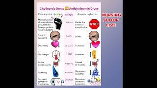 Cholinergic and Anticholinergic Drugs | Pharmacology for Nurses | #nclex #nursingexam