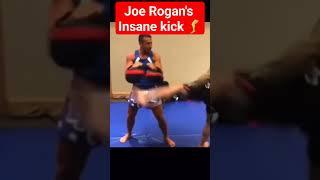 Joe's Insane kick #jre #mma #roganshorts