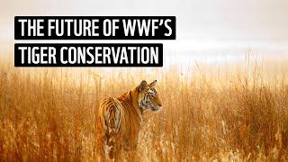 WWF's Tiger Conservation (2023-2034)