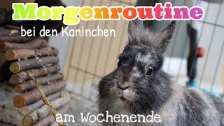 Morgenroutine am Wochenende/in den Ferien||Bunnys Diary